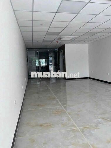 🏢 CHO THUÊ TÒA NHÀ VĂN PHÒNG – KHU HIM LAM, QUẬN 7 HẦM+4 LẦU
