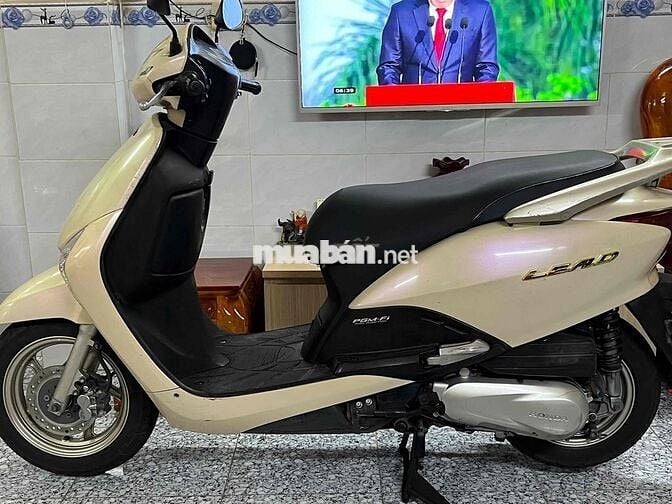 Leade fi biển số tphcm