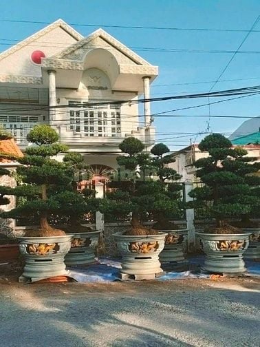 Ấp Mỹ Thạnh A,Xã Long Tiên,Huyện Cai Lậy, Tỉnh Tiền Giang 