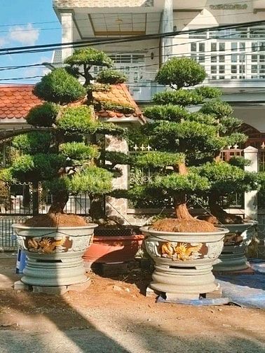 Ấp Mỹ Thạnh A,Xã Long Tiên,Huyện Cai Lậy, Tỉnh Tiền Giang 