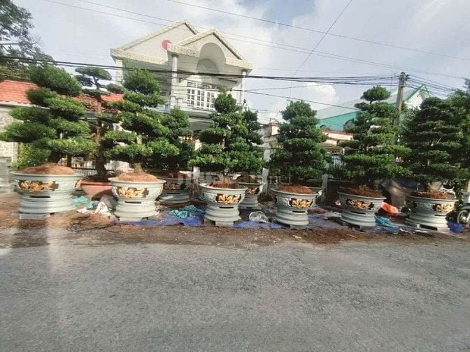 Ấp Mỹ Thạnh A,Xã Long Tiên,Huyện Cai Lậy, Tỉnh Tiền Giang 
