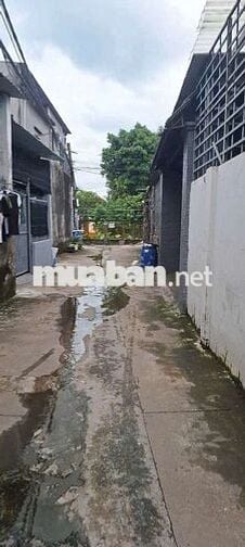 Cho Thuê Nhà cấp 4 gác lửng phường Dĩ An tp Hồ Chí Minh