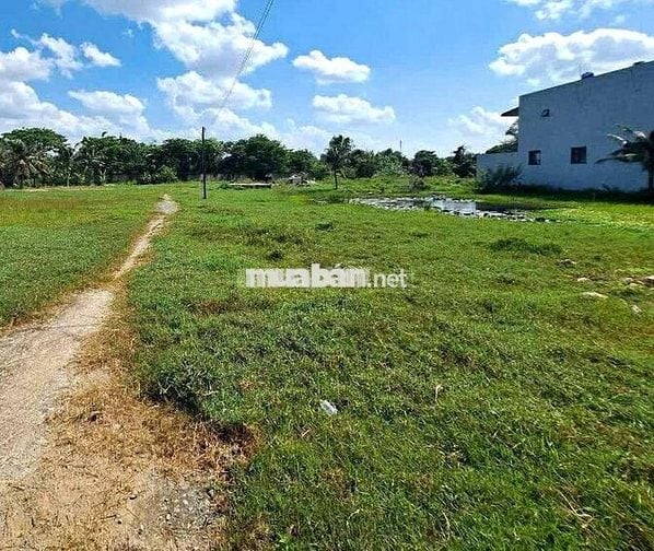 Xoay vốn gấp lô đất 85m2 745tr đường Đinh Đức Thiện, Huyện Bình Chánh
