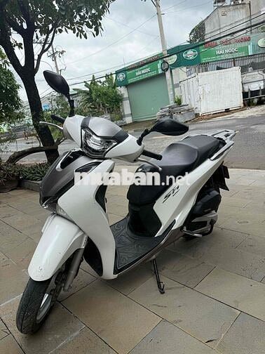 xe mua về đi chợ giờ đi rất ít chủ yếu đi oto