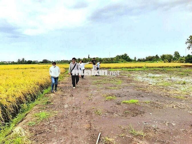 Siêu phẩm, 500m2 đất vườn view sông cực đẹp chỉ 500tr