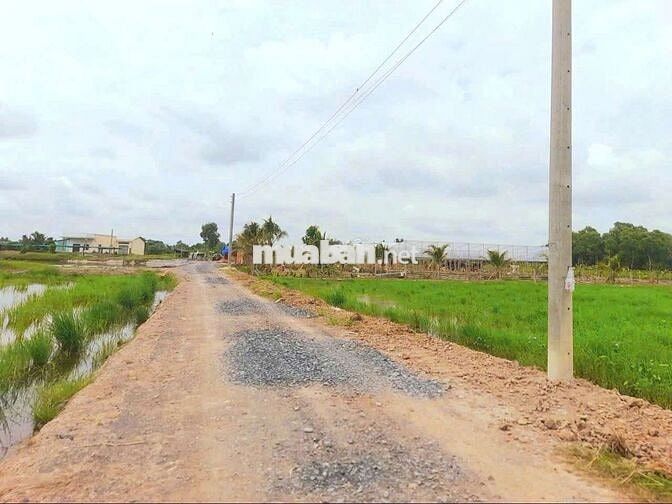Siêu phẩm, 500m2 đất vườn view sông cực đẹp chỉ 500tr
