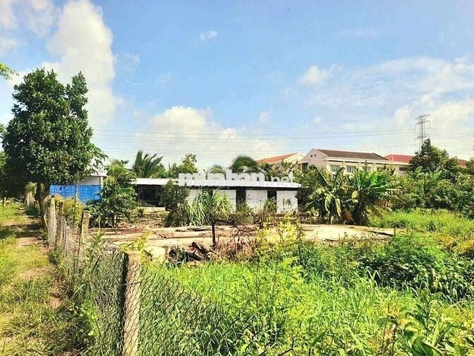 Hàng Vip, 1000m2 đất thổ View kênh Chợ Bình Lãng, 2.5 tỷ
