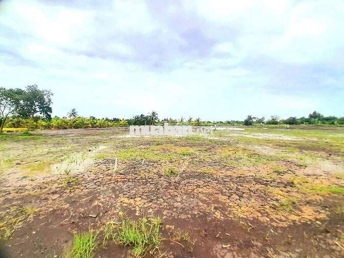 Siêu phẩm, 500m2 đất vườn view sông cực đẹp chỉ 500tr