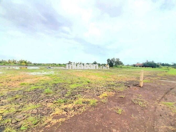 Siêu phẩm, 500m2 đất vườn view sông cực đẹp chỉ 500tr