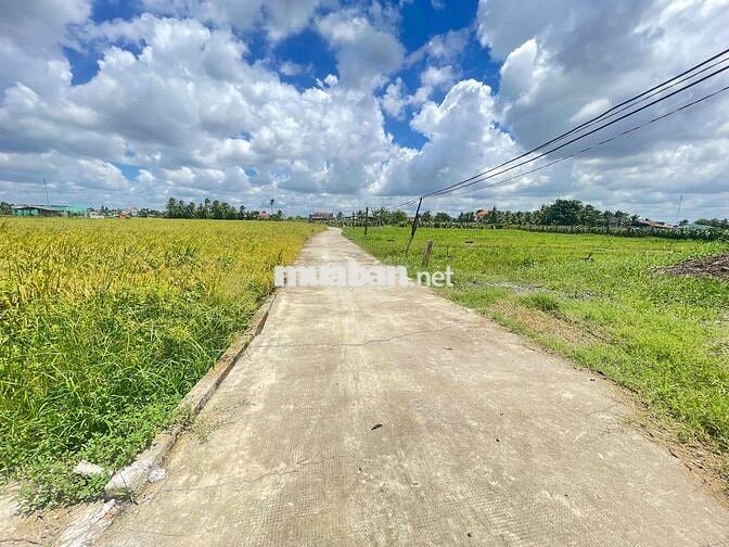 Bán 10x40 thổ cư đường Đan Oto nền cao kế bên đã cất nhà lầu
