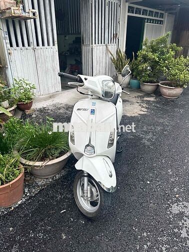 vespa 50cc bstinh 15 đk 2019 giay tờ hop lệ