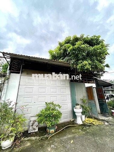 CHO THUÊ KHO 120m² – TRẦN CUNG – GIÁ CHỈ 8 TRIỆU/THÁNG 📍 Vị trí thuận