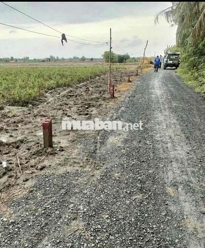 Chỉ 280 triệu có ngay nền đất đường xe hơi thông 6x30 ( 100mv thổ cư)