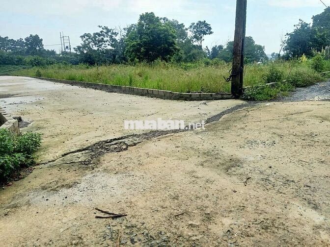 CC BÁN LÔĐẤT MẶT TIỀN KHỦNG 30,64M GIÁ RẺ CHỈ 11TR/m 373,5m giá 4,1tỷ