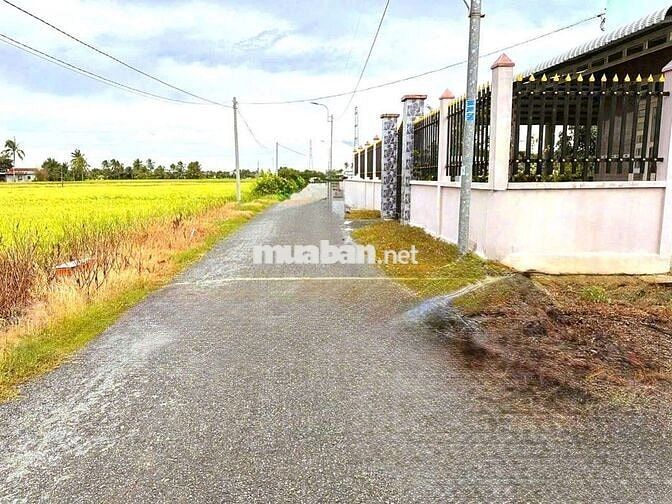 Hàng thơm 150m2 đất thổ view kênh cực đẹp chỉ 420tr