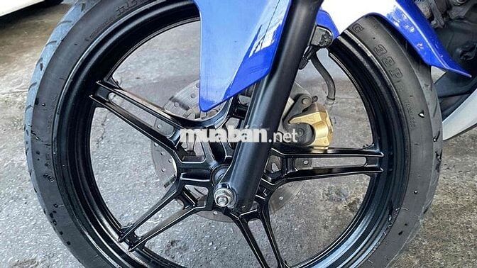 Exciter chất zin cọp gốc lai vung ngay chủ