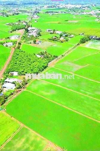 Hàng thơm 150m2 đất thổ view kênh cực đẹp chỉ 420tr