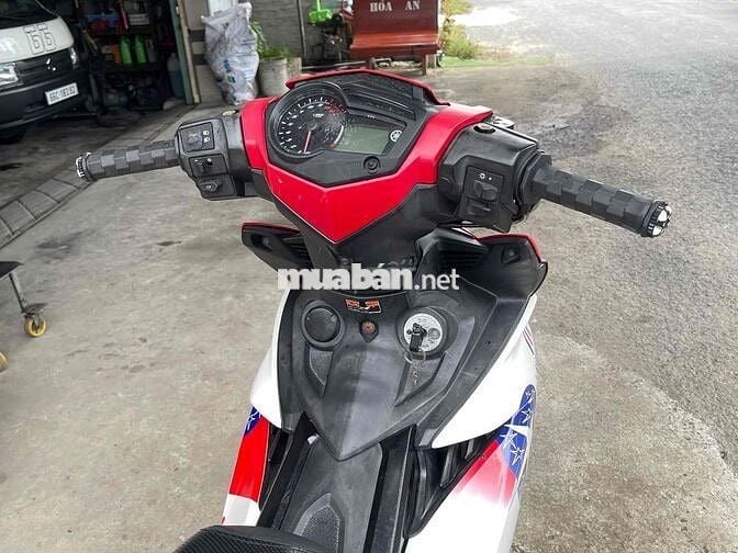 Exciter zin mộc gốc lai vung