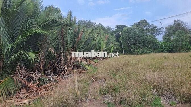 Chỉ với 6 tr/m2 sở hữu ngay 1.500m2 MT Nguyễn Văn Tạo, Hiệp Phước, NBe