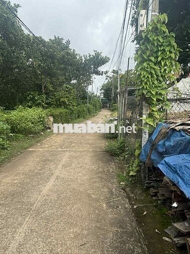 BÁN NHANH ĐẤT CÓ NHÀ SẴN – PHỐ 7, PHÚ LỢI – GIÁ TỐT