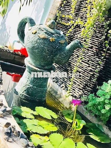 Cho thuê nhà vườn TDM Bình Dương giá rẻ