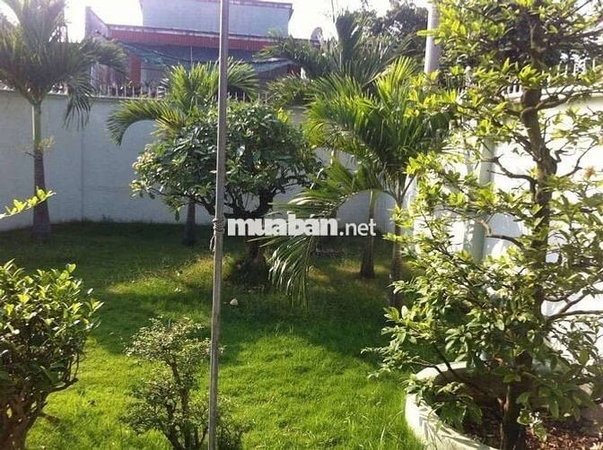 Cho thuê nhà vườn TDM Bình Dương giá rẻ
