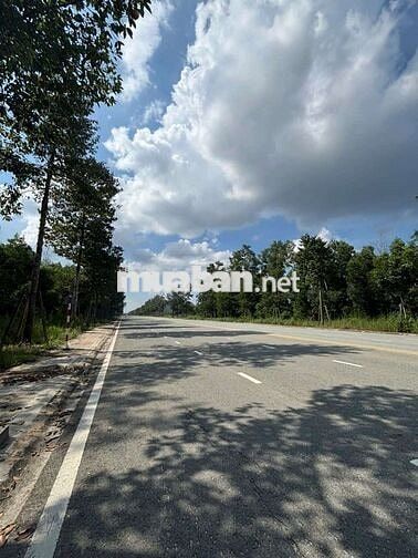 🏡 Đất Full Thổ Cư 150m² Ngay ĐH Thủ Dầu 1 – Mặt Tiền Nhựa 22,5m