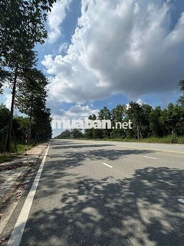 🏡 Đất Full Thổ Cư 150m² Ngay ĐH Thủ Dầu 1 – Mặt Tiền Nhựa 22,5m