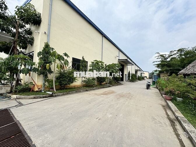 Cần bán xưởng đầu tư16000m2 tại Khánh Bình Tân Uyên Bình Dương
