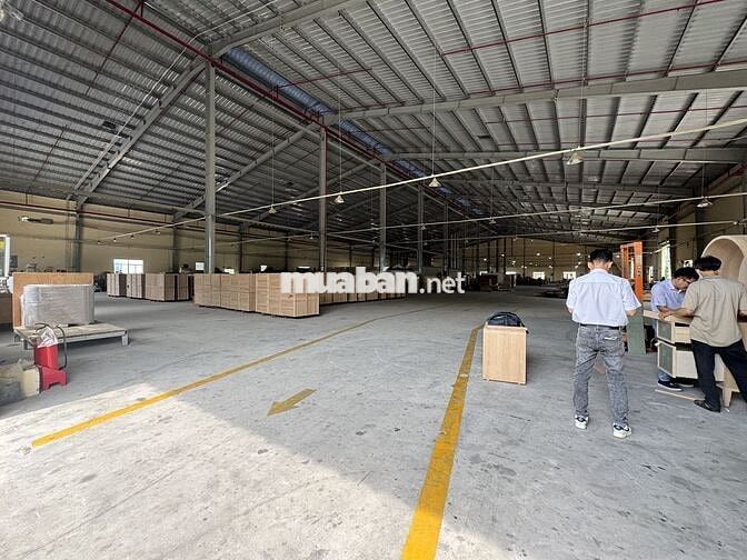 Cần bán xưởng đầu tư16000m2 tại Khánh Bình Tân Uyên Bình Dương