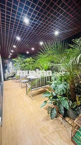 Căn Penthouse 339m2, 4PN, 4VS, 2 tầng, ban công siêu rộng