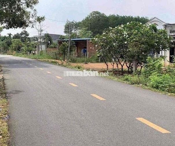 Gần dân, chợ, bệnh viện, khu công nghiệp