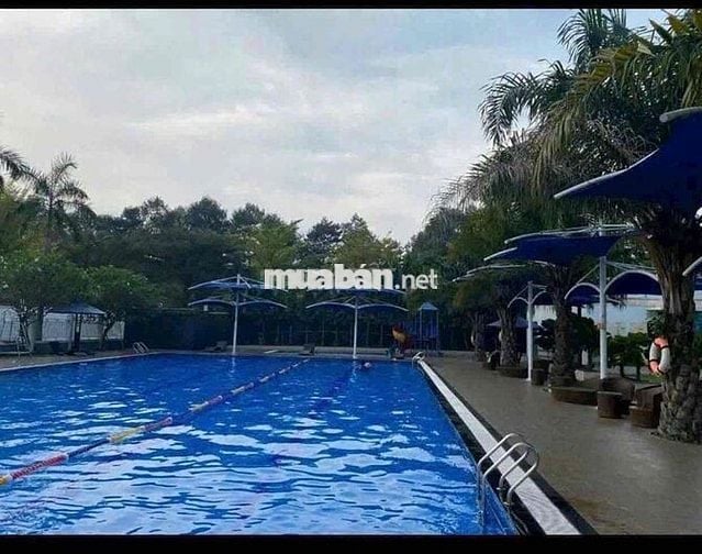 Cho thuê nhà ở thương mại và dịch vụ Phú Mỹ