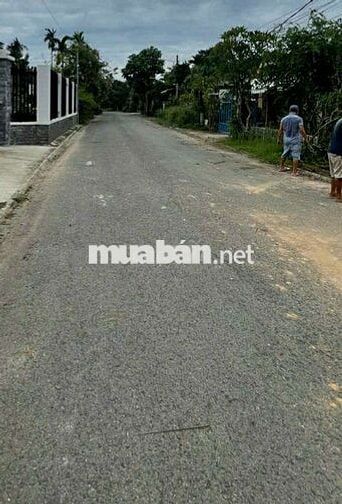 Bán đất đi du lịch 91m2 SHR 668tr Đ Trần Minh Châu ,TP Tân An  Long an