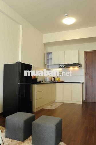 Cho thuê Chung Cư Ehomes Southgate Chính Chủ.