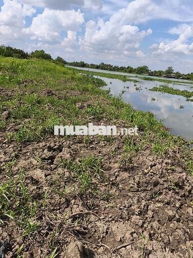 Lô đất view Sông Vàm Cỏ ngang 200m + mặt tiền nhựa 85m
