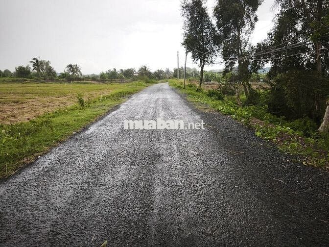 Lô đất view Sông Vàm Cỏ ngang 200m + mặt tiền nhựa 85m