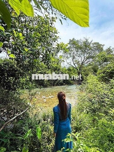LÔ ĐẤT GIÁP SÔNG KHÁNH VĨNH 500m2 GIÁ CHỈ 99 TRIỆU