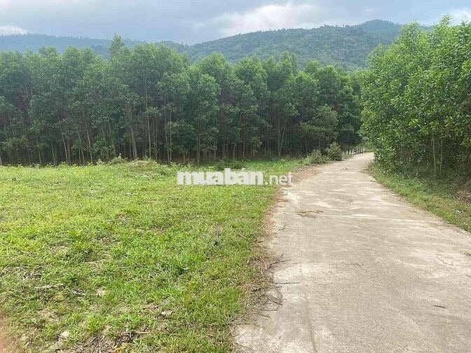 LÔ ĐẤT GIÁP SÔNG KHÁNH VĨNH 500m2 GIÁ CHỈ 99 TRIỆU