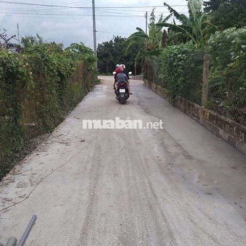 Nhà sổ riêng thổ cư Phường Tân Triều