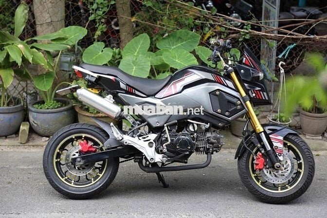 MSX 110cc