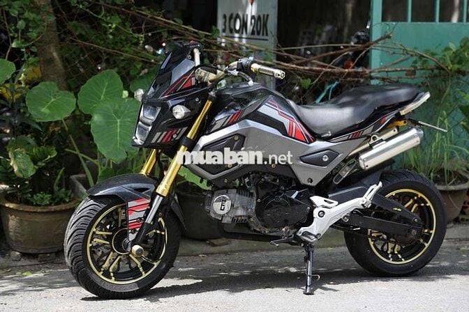 MSX 110cc