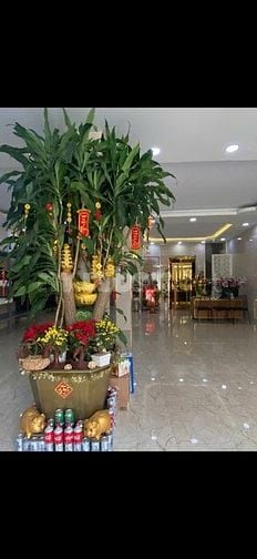 Cc cho thuê MTKD Nguyễn Lâm 7 tầng + thang máy giá 101tr/ tháng