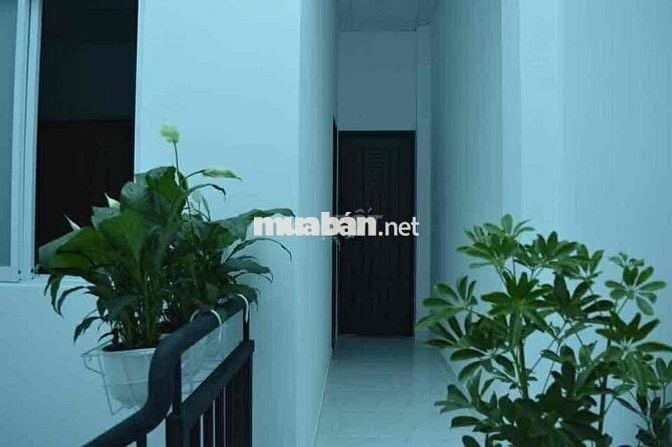 🌹Thoại Ngọc Hầu 90.8m2, 2 tầng, Dt: 4 x 23, Giá: 8.9 tỷ  Phú Thạnh - T
