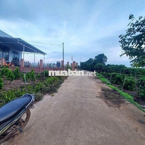 21m bê tông Xã Ninh Gia khu dân cư hiện hữu