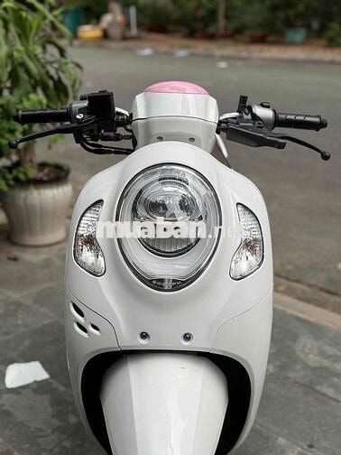 Scopy 11/2020 BsTp ngay chủ chứng giấy sang tên