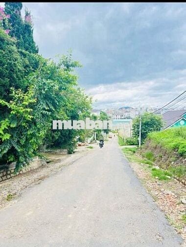 21m bê tông Xã Ninh Gia khu dân cư hiện hữu