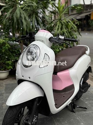 Scopy 11/2020 BsTp ngay chủ chứng giấy sang tên