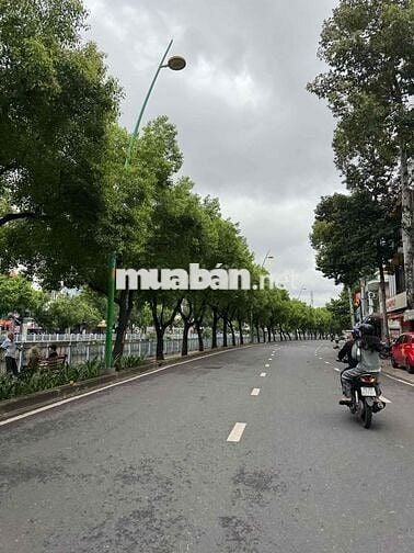 BDS DÒNG TIỀN 50 triệu/ THÁNG, MÃ LÒ, BHH, BÌNH TÂN, GIÁ CỰC NGON