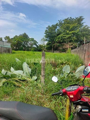Đất rộng ngay khu dân cư đông vui 